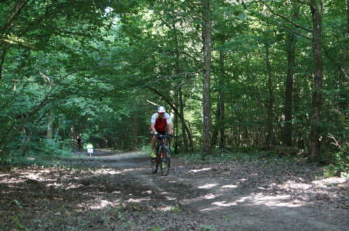 DSC06914 (1)